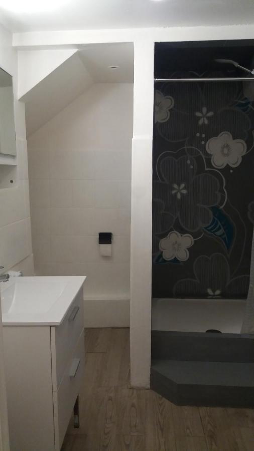 Appartement Meuble Type T2 Metz Exteriör bild